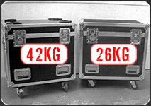 cases26_42